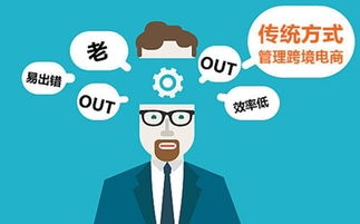 极速跨境ERP 深度解析其功能与优势，助您高效管理跨境电商